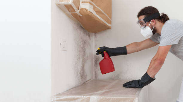 Professional Black Mold Remediation technician working in Darien, GA