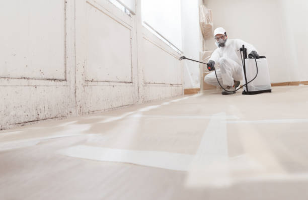 24/7 Emergency Black Mold Remediation experts in Darien, GA