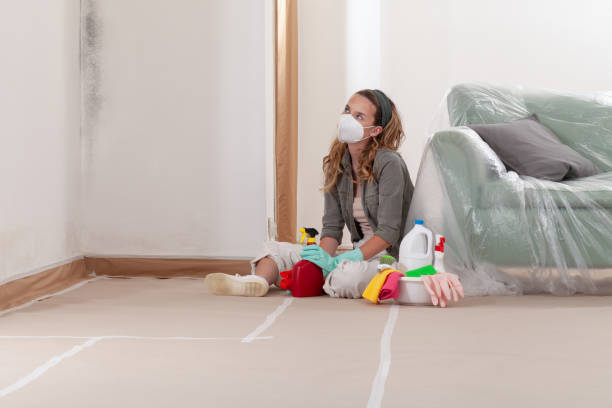 Reliable Black Mold Remediation contractor in Darien, GA by 24 Hour Mold Removal
